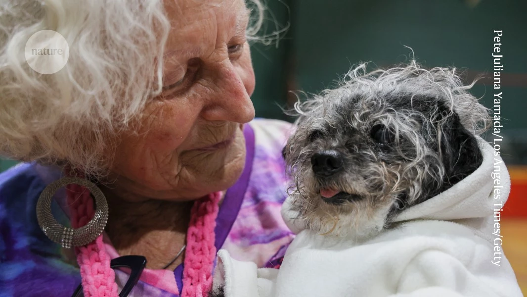 Can science make your dog live longer? Longevity craze comes to pets