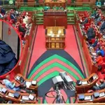 Parliament Approves Former Wajir Woman Rep Fatuma Ibrahim Ali as PSC Commissioner