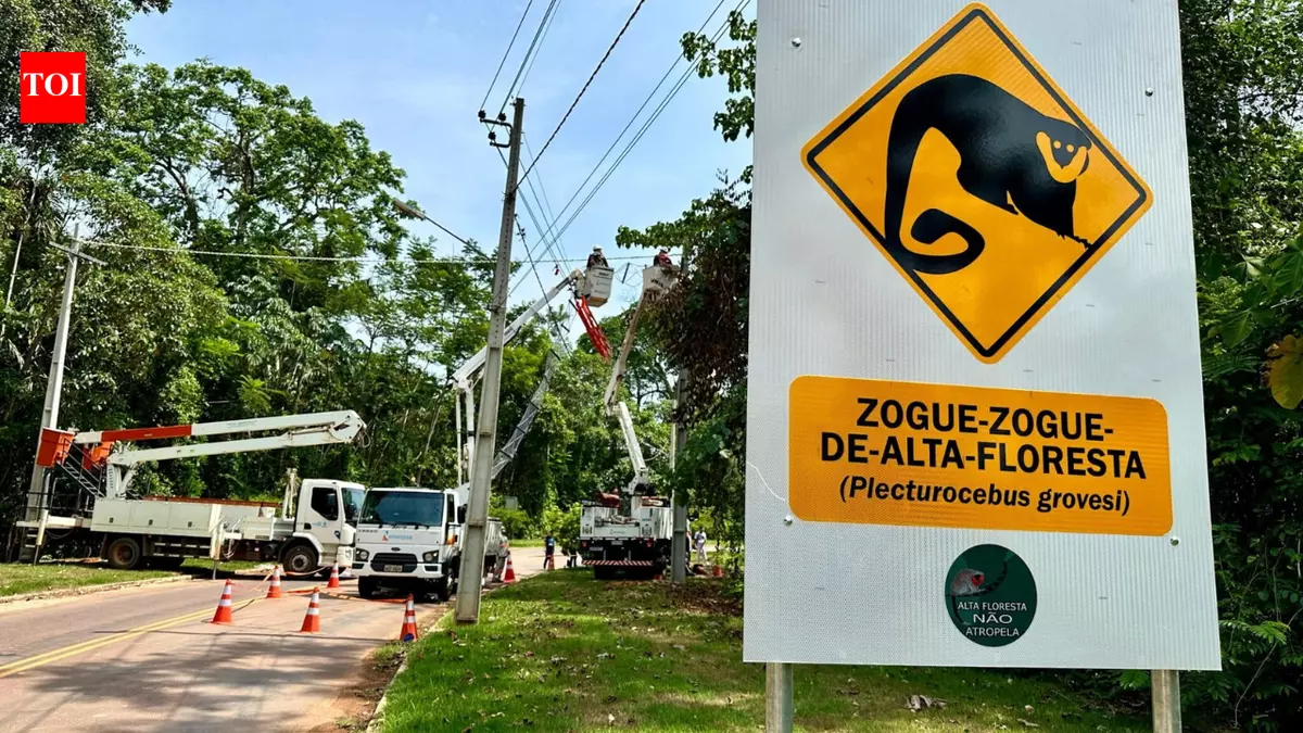 Eight Amazon rope bridges logged 15,000 wildlife crossings with 0 roadkill in Brazil