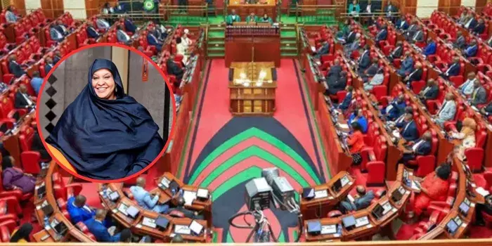 Parliament Approves Former Wajir Woman Rep Fatuma Ibrahim Ali as PSC Commissioner