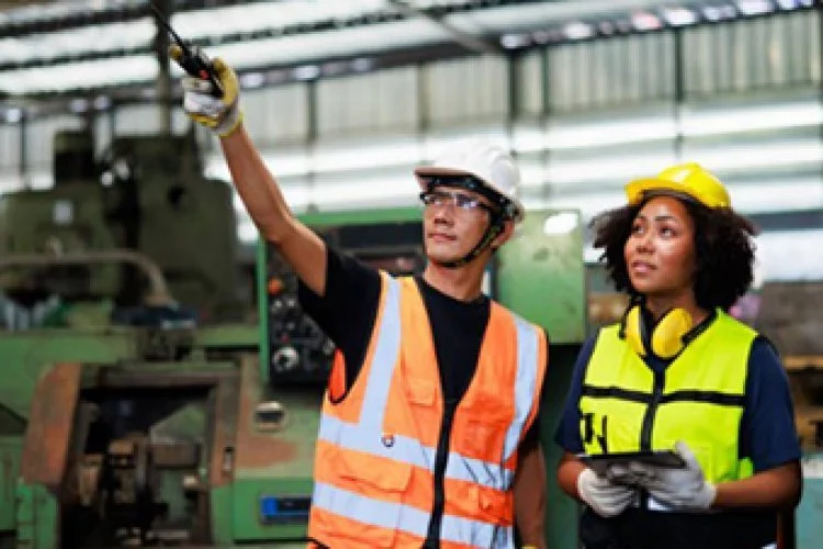 Hiring Labour