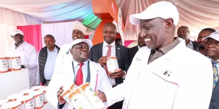 Ruto Announces Plan to Decentralise KCC Factories in Bid to Lower Milk Prices