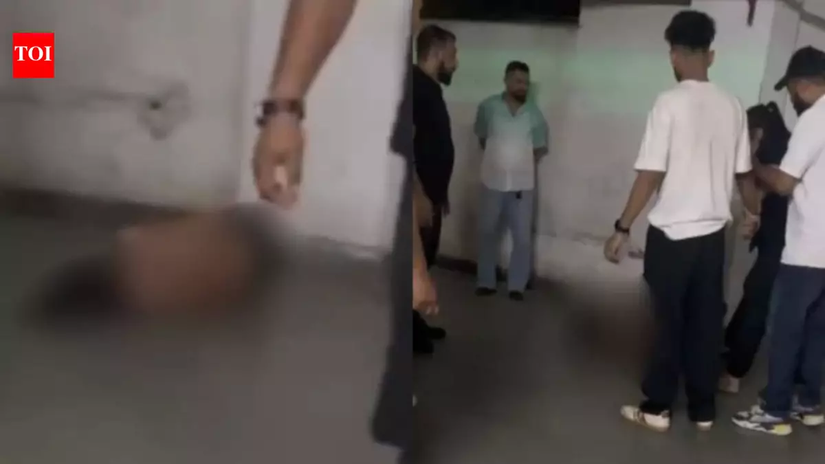 Assam nightclub horror: Woman stripped, kicked on floor; manager detained