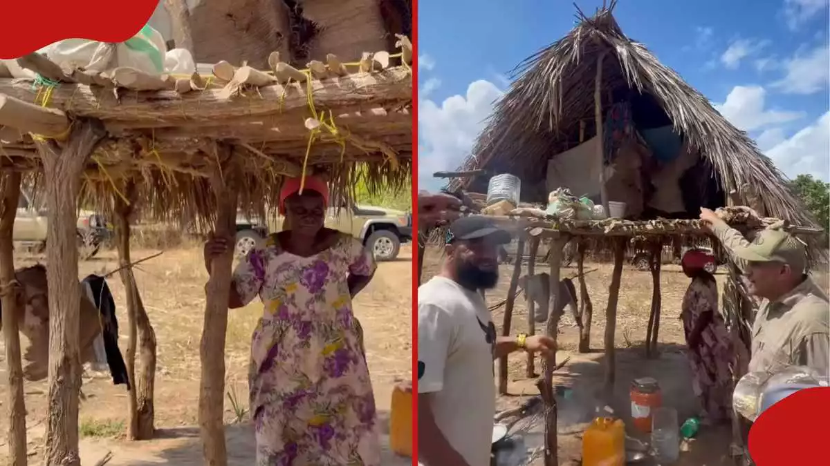 Tanzanian woman in tiny two-storey stick house reveals how she avoids wild animals