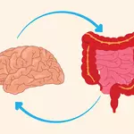 Is Your Brain Older Than Your Actual Age? A New Study Found Clues in an Unexpected Place