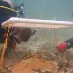 Scientists invent underwater umbrellas to protect coral reefs