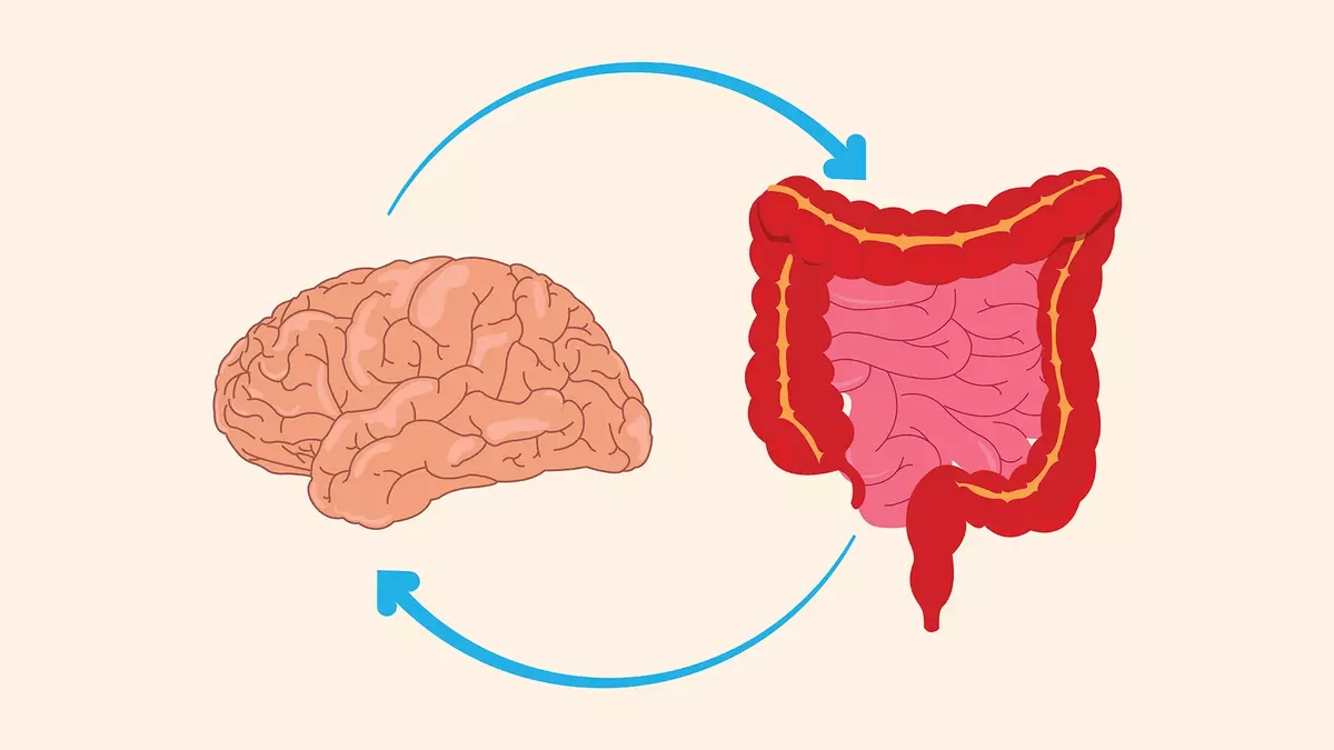 Is Your Brain Older Than Your Actual Age? A New Study Found Clues in an Unexpected Place