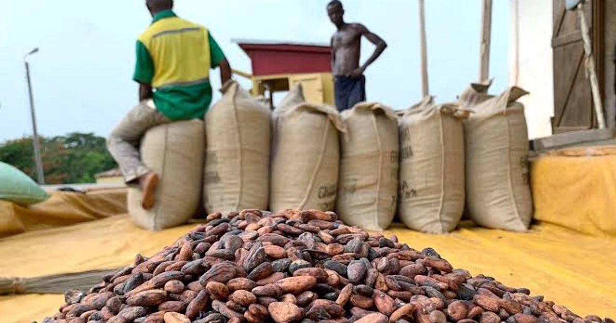 The world’s second-largest cocoa producer is facing a cash crunch as Ghana’s cocoa regulator raises $288 million to keep farmers selling