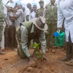 Gov’t says Kenya has planted 2 billion trees towards 15 billion target