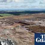 Google is illegaly cutting forest to build data centers