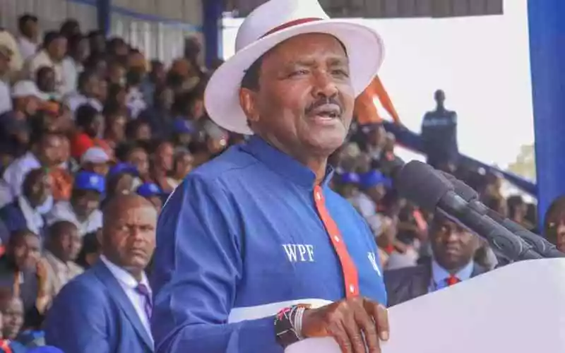 Kalonzo to Ruto: You have no numbers