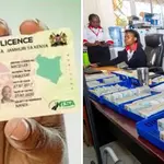 NTSA Asks Motorists to Collect Smart Driving Licences, Warns of Brokers