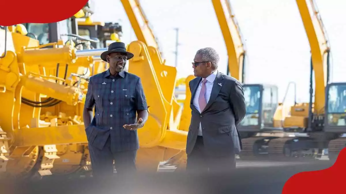 Aliko Dangote Warns Africa Will Waste Its Youth Boom Without More Jobs and Industry