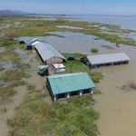 Beyond 'serikali saidia': Why businesses, households can't ignore El Nio threat