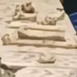 Chinese man arrested after fabricating rooftop child grave hoax above residential flat