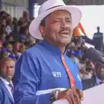 Kalonzo to Ruto: You have no numbers