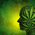 What happens in the brain when cannabis makes you anxious?