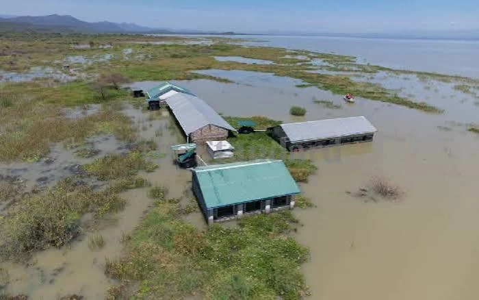 Beyond 'serikali saidia': Why businesses, households can't ignore El Nio threat
