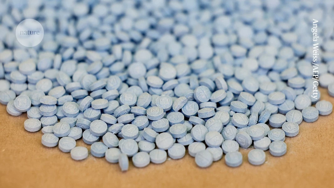 Toxic chemicals in fentanyl revealed by speedy technique 