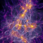 Powerful simulations reveal how the first stars changed the universe