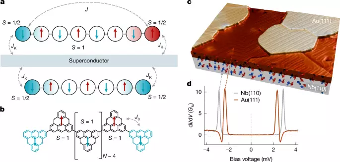 Parity-dependent coupling of molecular spin chains to a superconductor