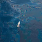 Sixteen Years After Deepwater Horizon, Deep Sea Life Shows Few Signs of Recovery