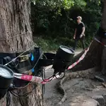 Work on Hong Kong’s Peak trail light project suspended amid environmental outcry
