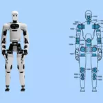 The U.S. can’t find enough of this critical machine component to win the humanoid-robots race