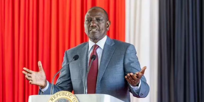 Kenya Classifies Cocoa as a Cash Crop, Ruto Launches Seedling Distribution