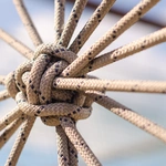 Payment Data Can Keep Merchants Tied to Their Processors
