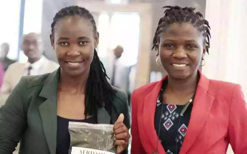 Youth-led agribusiness venture rewrites Kenya's farming narrative