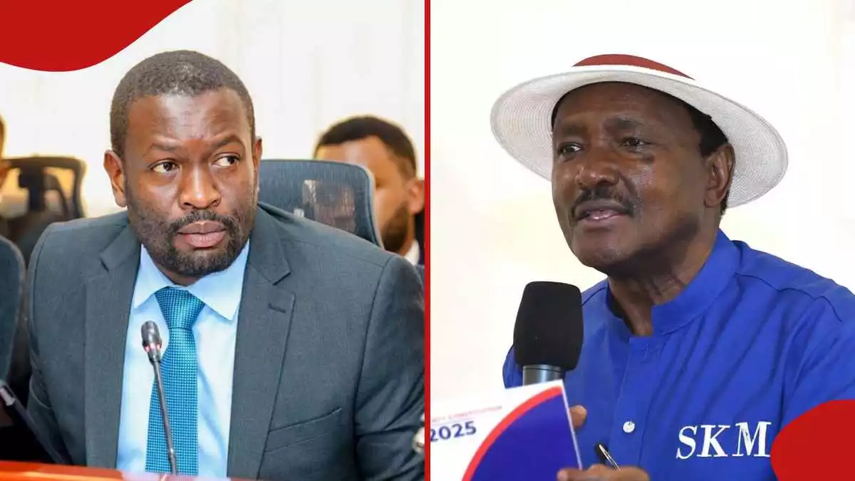Kalonzo Musyoka recalls 2 Wiper leaders campaigning with Edwin Sifuna: "Wamemaliza kazi"