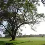 The fatal legal blind spot that cost Kakuzi prime Makuyu golf land