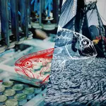 France’s seafood problem starts elsewhere