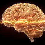 Scientists win 2026 Nobel Prize for controlling brain cells with light