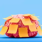 Think Stress Always Hurts Your Memory? A Yale Study Found the Opposite Under 1 Condition