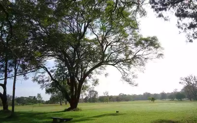 The fatal legal blind spot that cost Kakuzi prime Makuyu golf land
