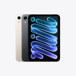 OLED iPad Mini