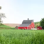 Iowa family auctions 1,209-acre farm after 84 years on the land