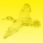 DuckDB 2.0.0 LTS 