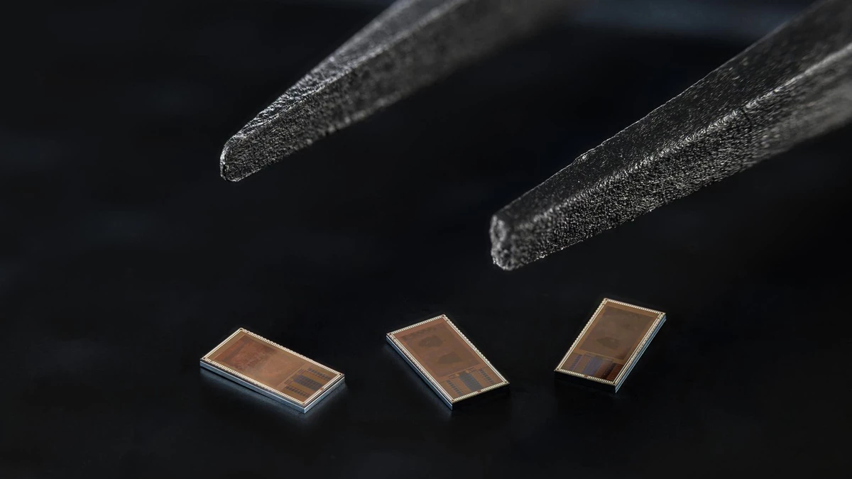 Neural chip decodes interactions between brain regions