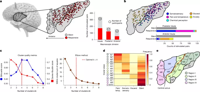 Functional architecture of the human insula