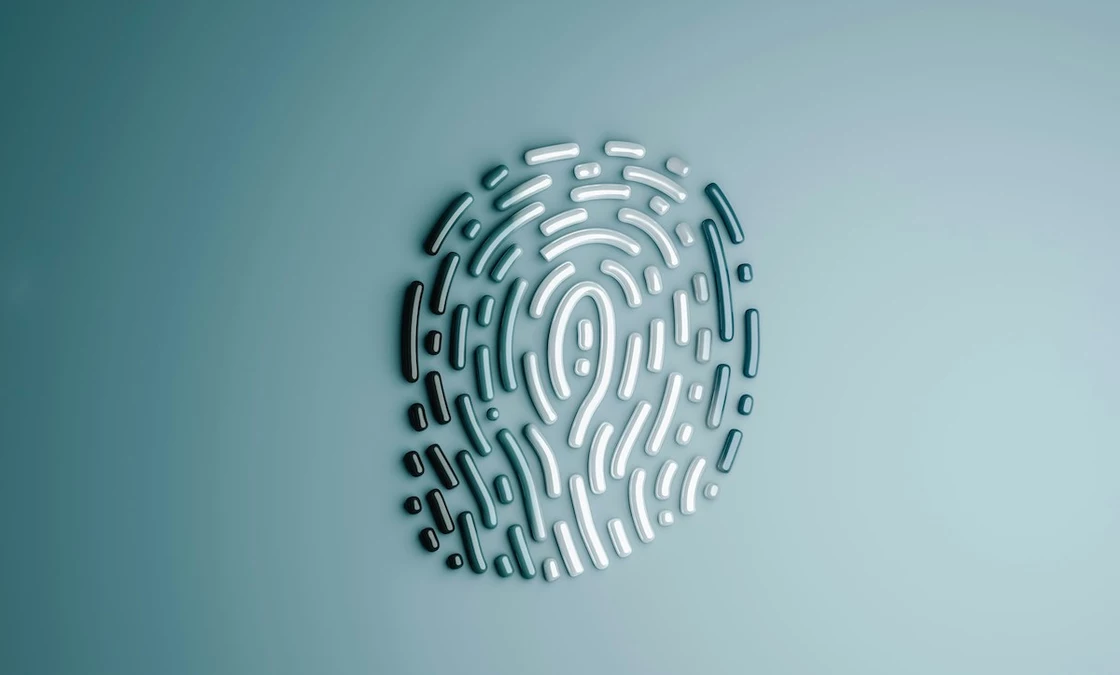 States Move to Centralize Digital IDs as More Services Go Online 