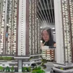 Bid to turn 14 subsidised sale flats into subdivided homes raises abuse concerns
