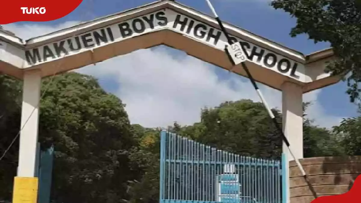 Makueni Boys High School guide: Category, fees, KCSE performance, and location