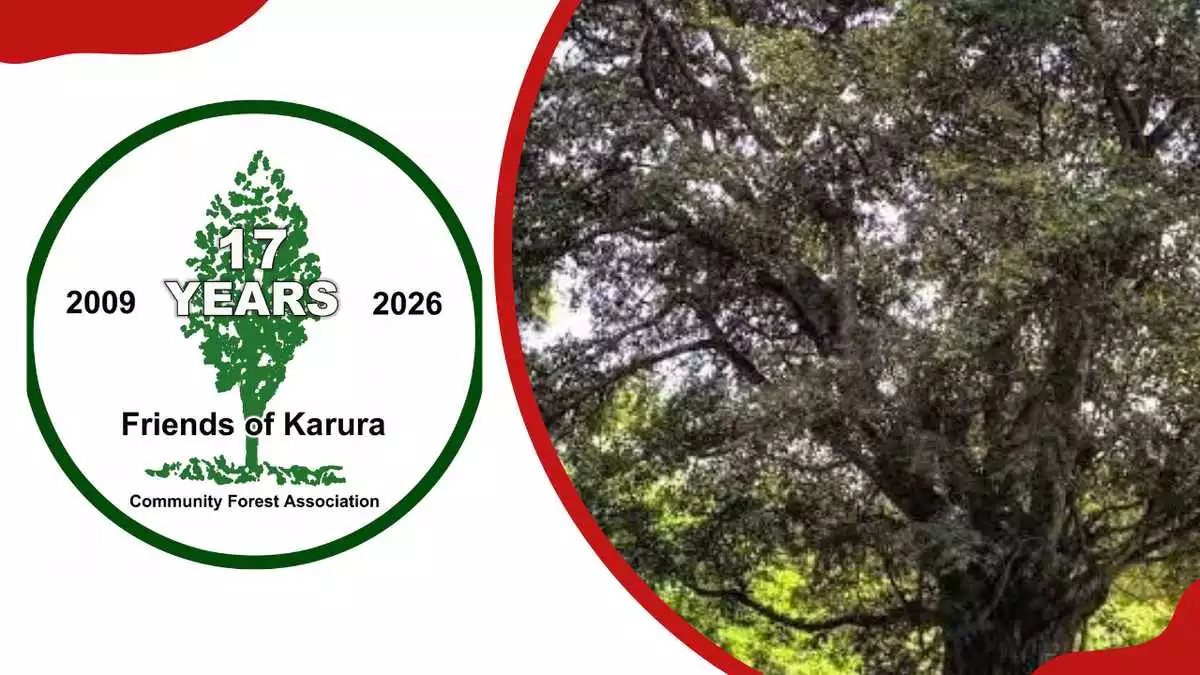 Karura Forest entrance fee, activities, rules, and prohibited items