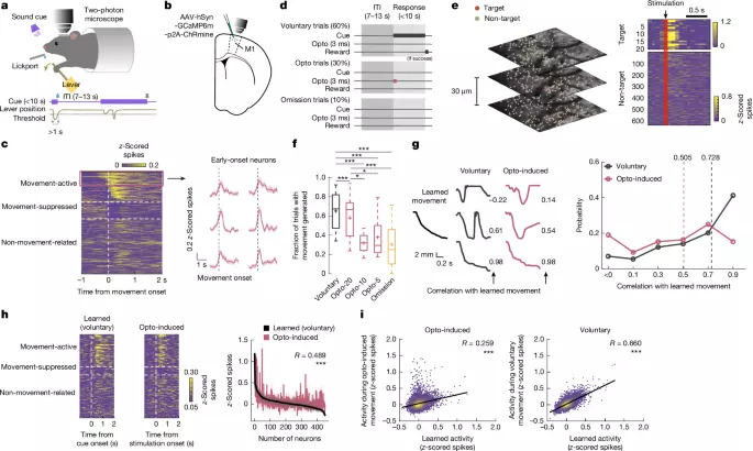 Targeted stimulation of motor cortex ensembles drives learned movements