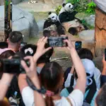 From pandas to Peak vistas, Hong Kong sets out to captivate Apec delegates