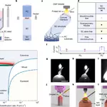 Additive manufacturing of ultralong and architected single crystals