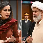 'Will petrol be available in December?': Senate echoes with shortage concerns even as state minister says no supply issues